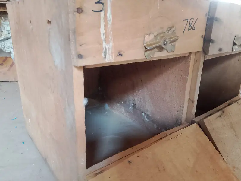 Lovebird breading box contact number 03027453600 — photo 3