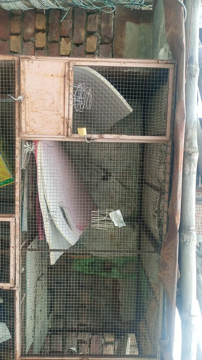 Big cage — photo 2