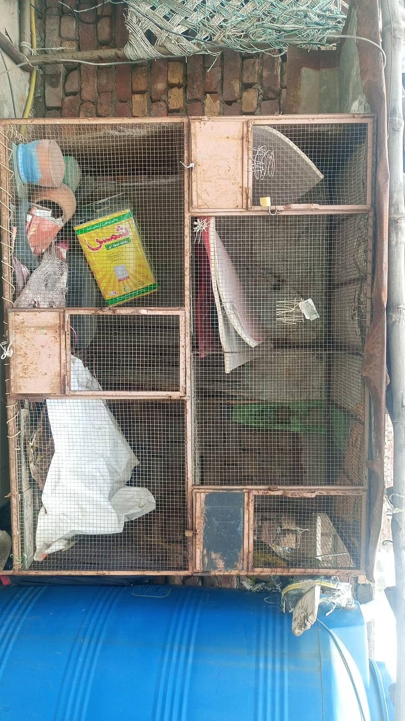 Big cage 2