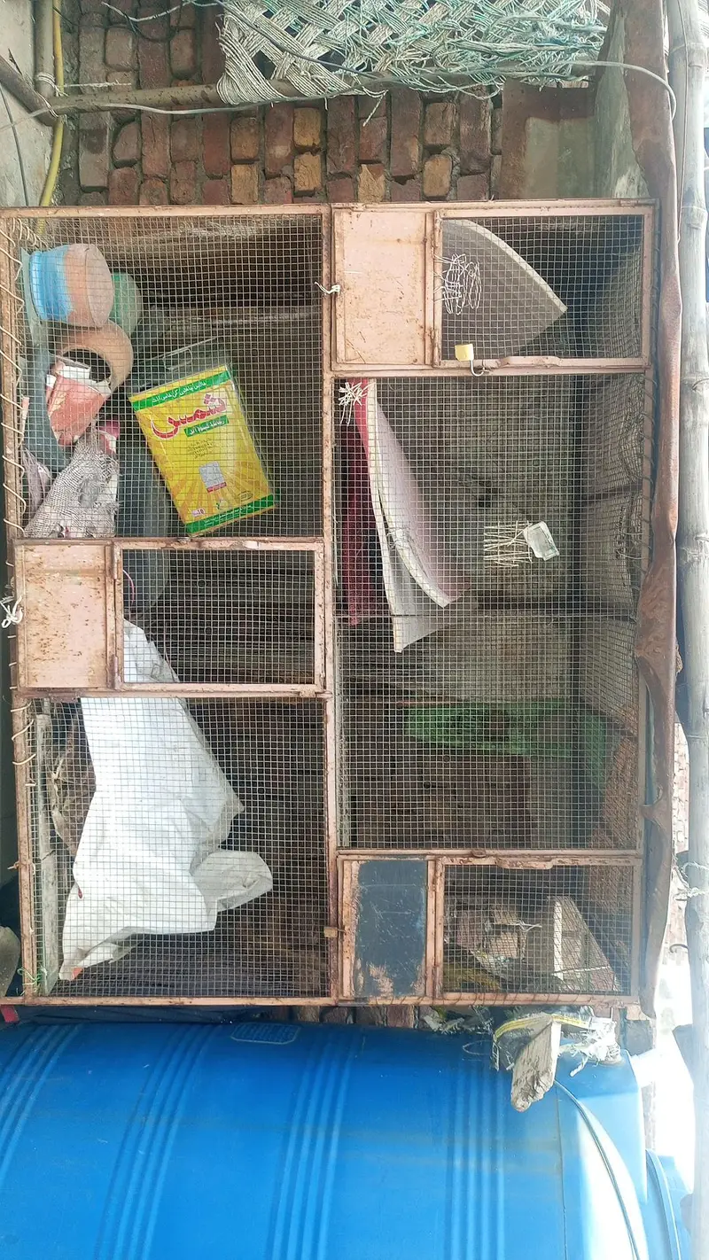 Big cage — photo 3