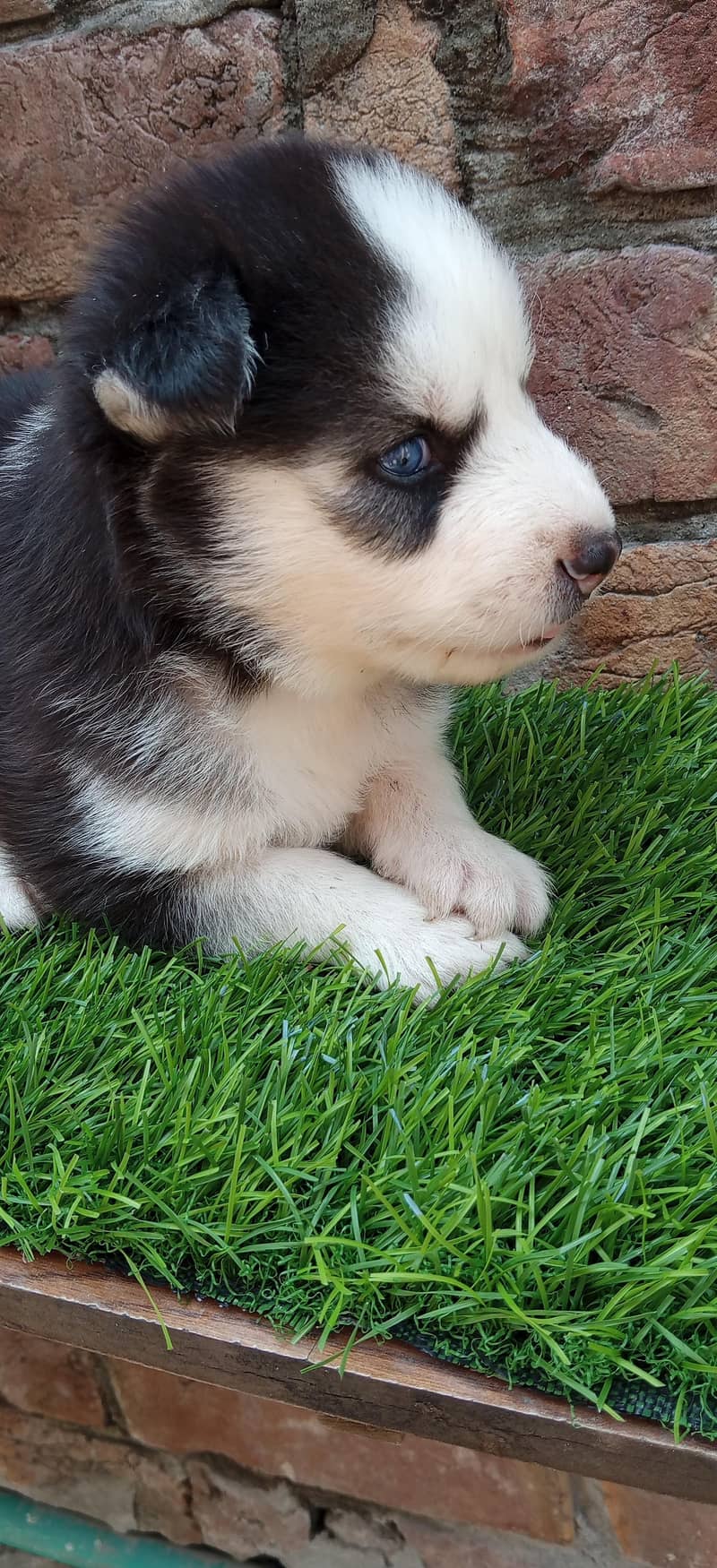 oooooo 1