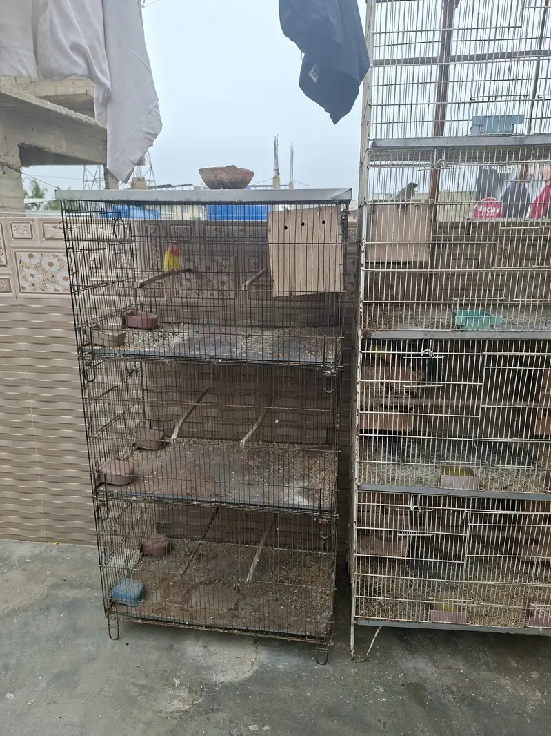 total setup sell all brider and 2 larg cage — photo 2