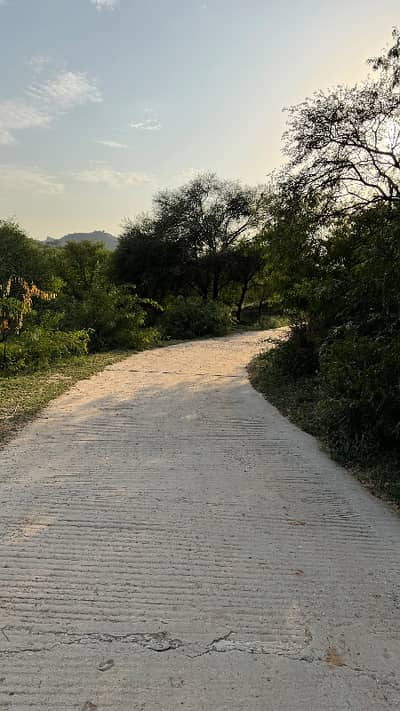 230 kanal land in kalar kahar chakwal