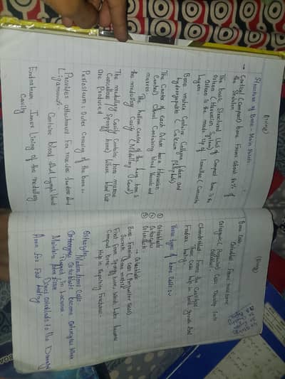 handwriting