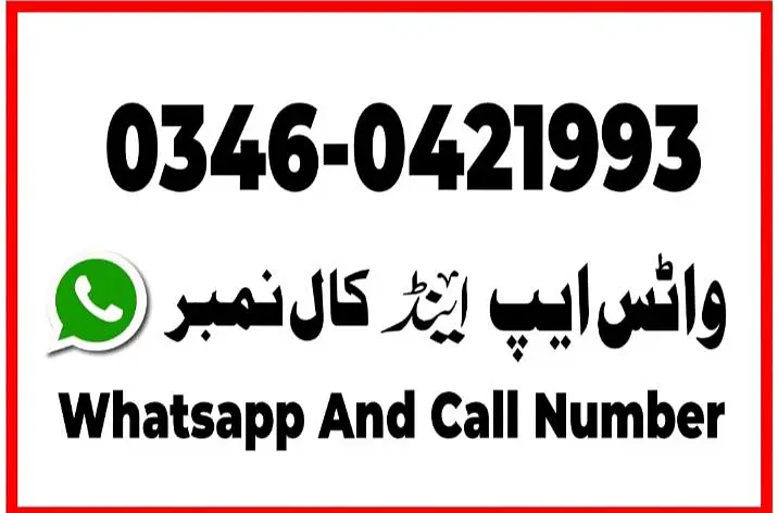 3 bacchon wali bakri makhi chini for sale call — photo 2