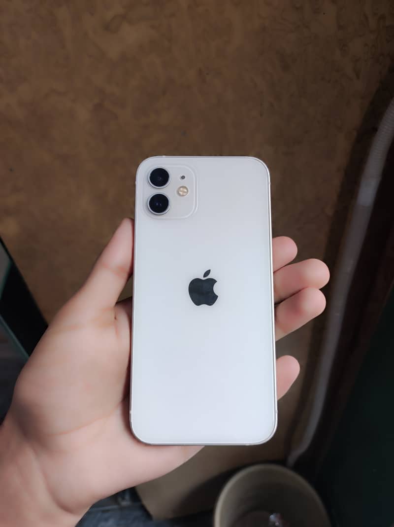 Apple iPhone 12 1