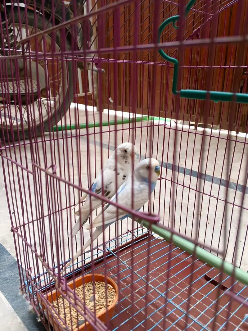 sell only 2500 — photo 2