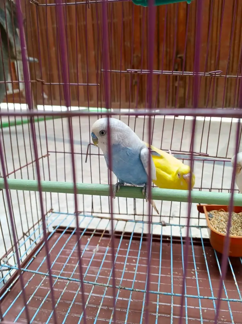 sell only 2500 — photo 3