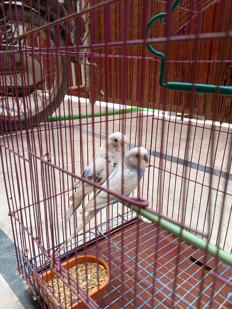 sell only 2500 — photo 4