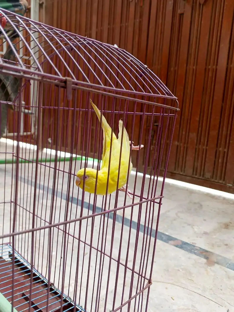 sell only 2500 — photo 5