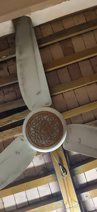 Sufi Fan Ceiling Fan