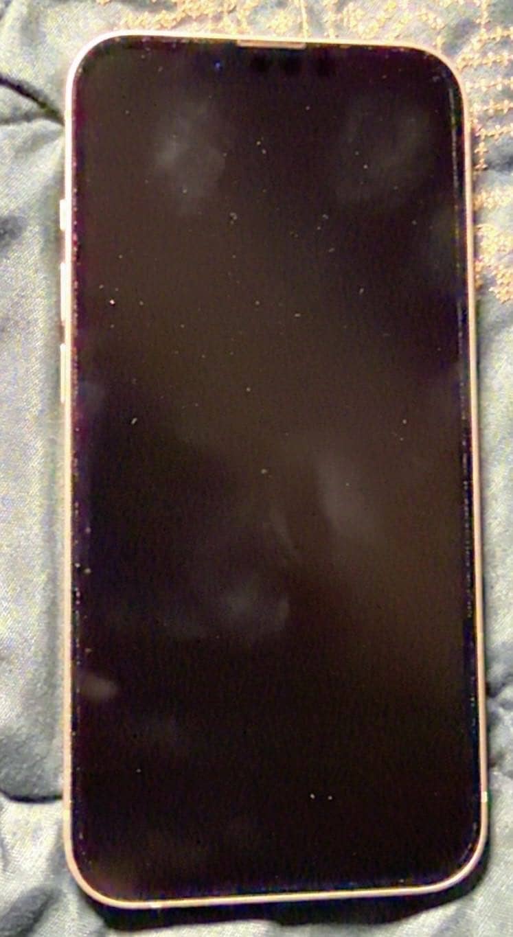 Apple iPhone 13 1