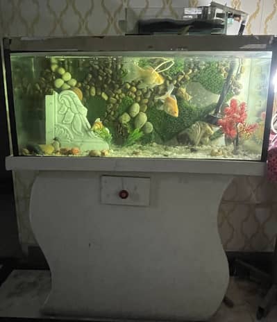 Fish Aquarium For Sale