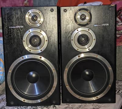 Pioneer
