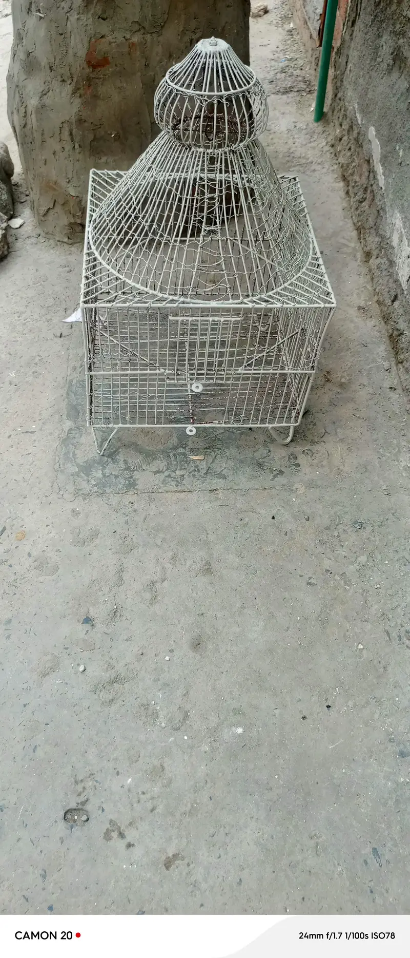 cage/pinjra /03420726188 — photo 3
