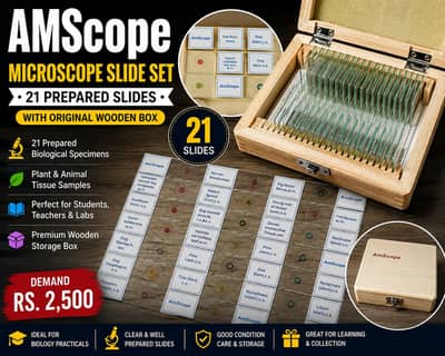 AmScope Microscope Slides 21pcs + Wooden Box | Biology Lab Set