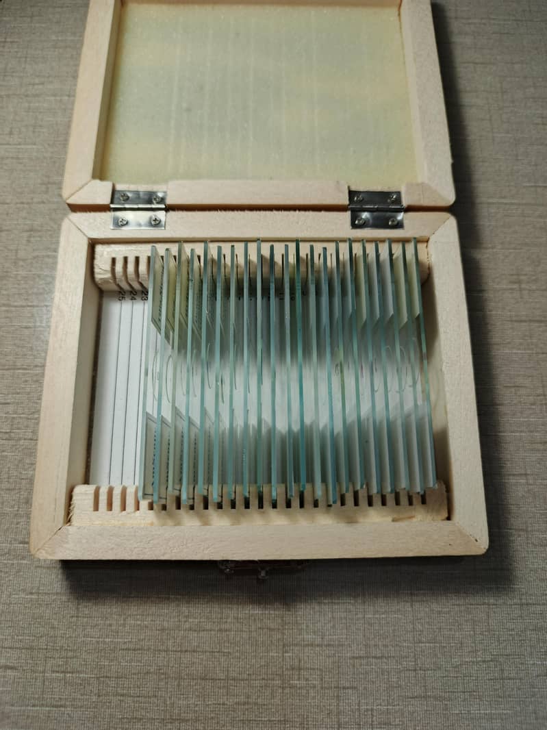 AmScope Microscope Slides 21pcs 3