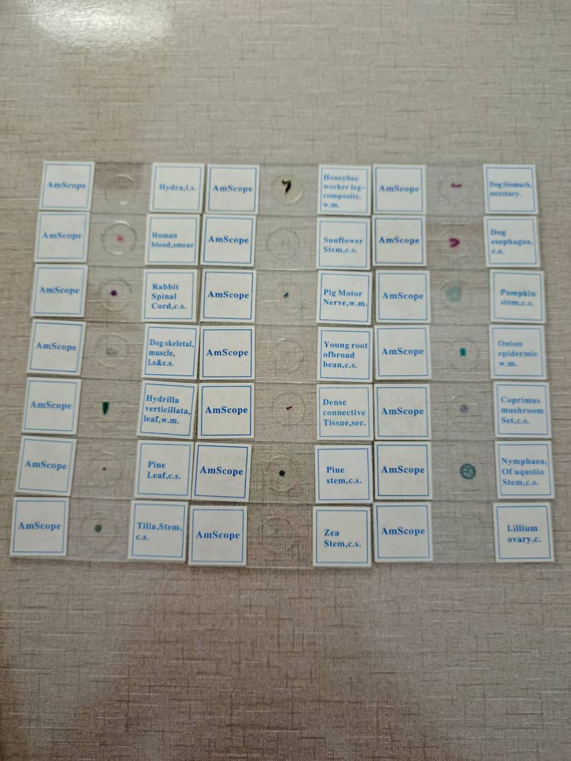 AmScope Microscope Slides 21pcs 4