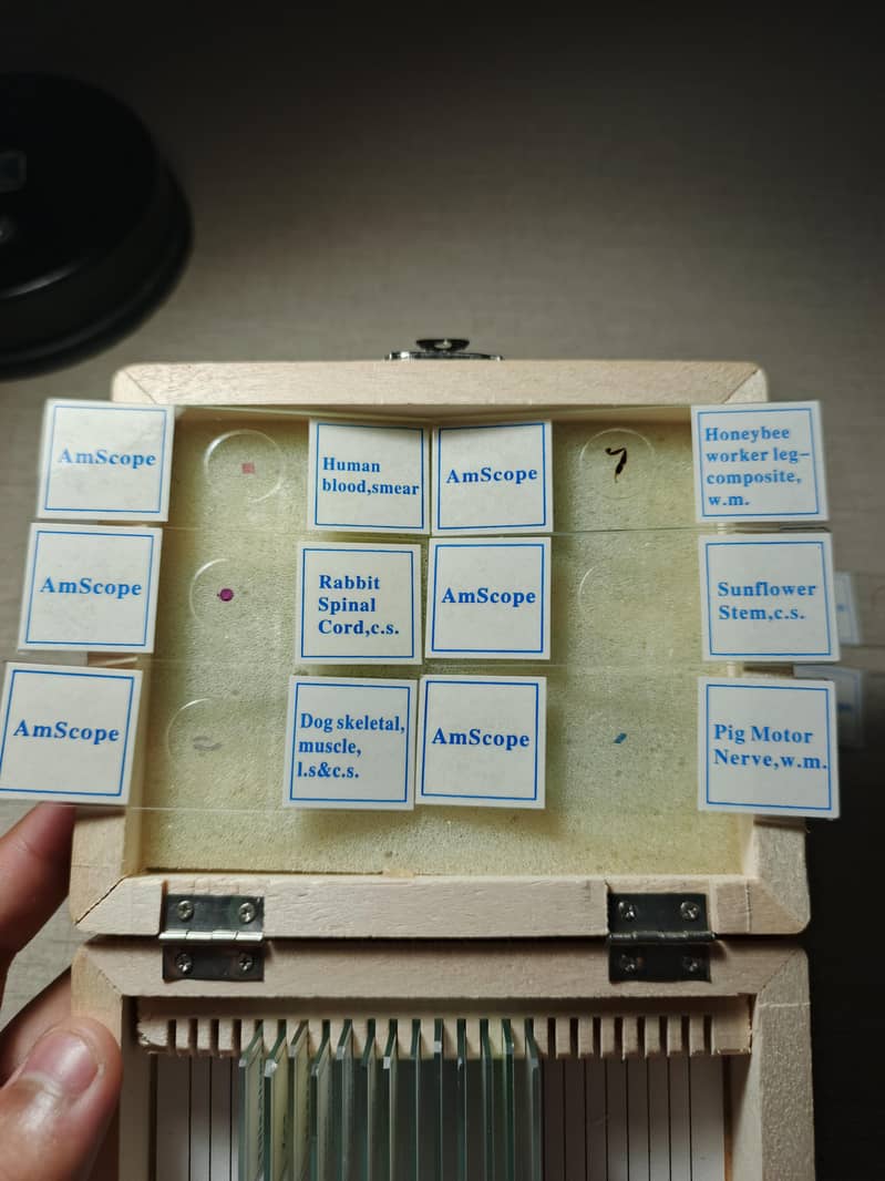 AmScope Microscope Slides 21pcs 5