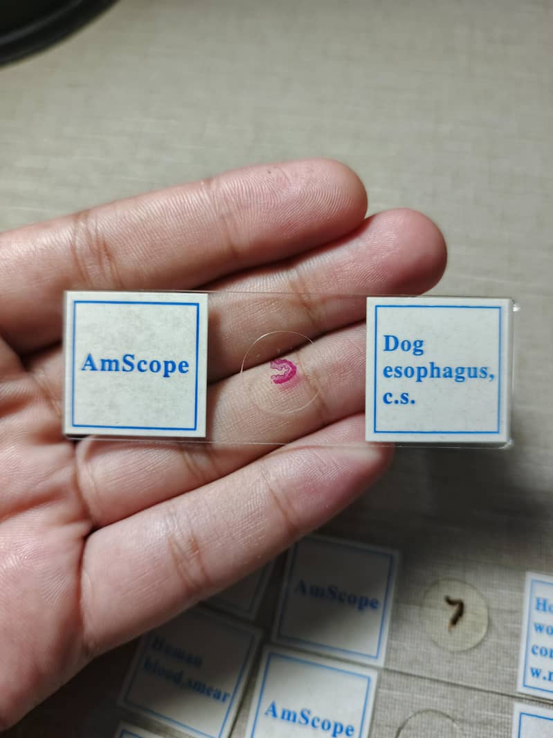 AmScope Microscope Slides 21pcs 7