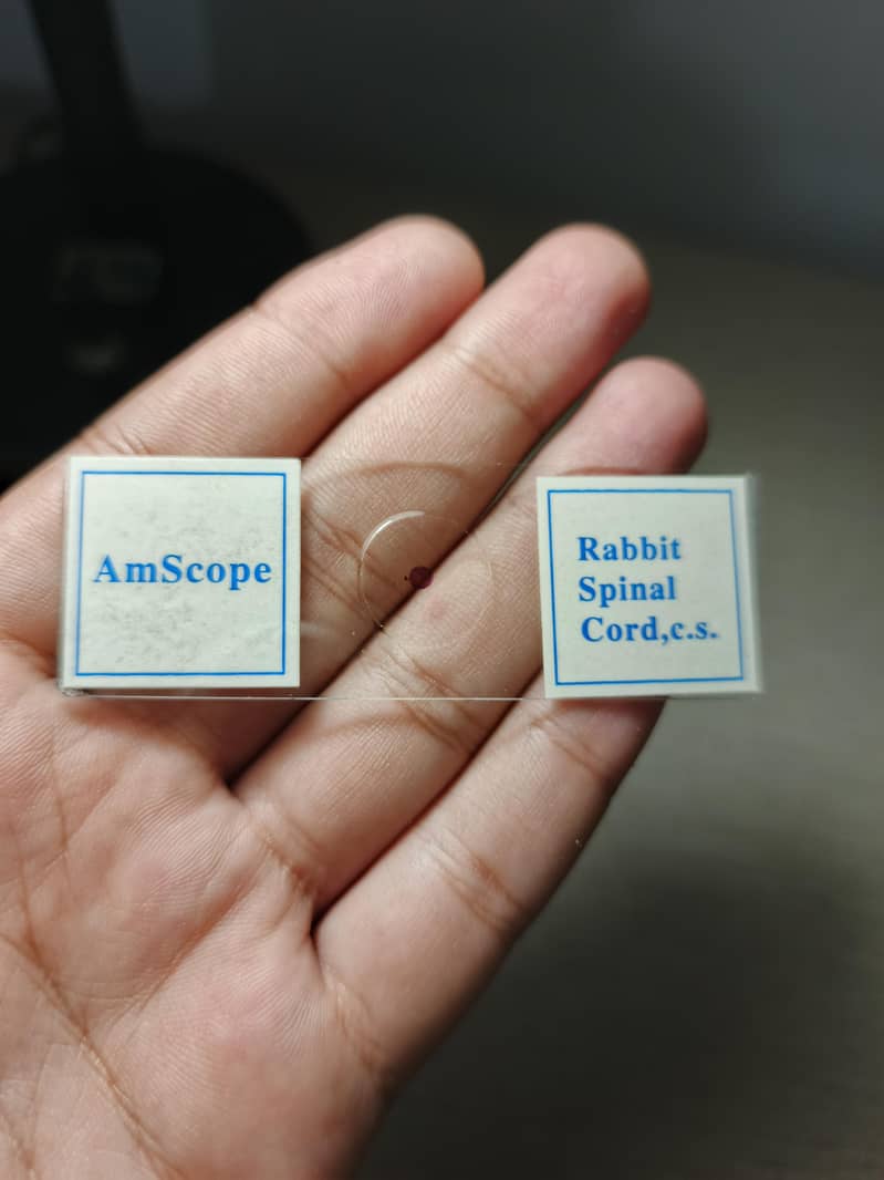 AmScope Microscope Slides 21pcs 9