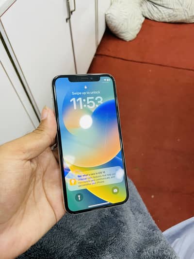 Apple iPhone X