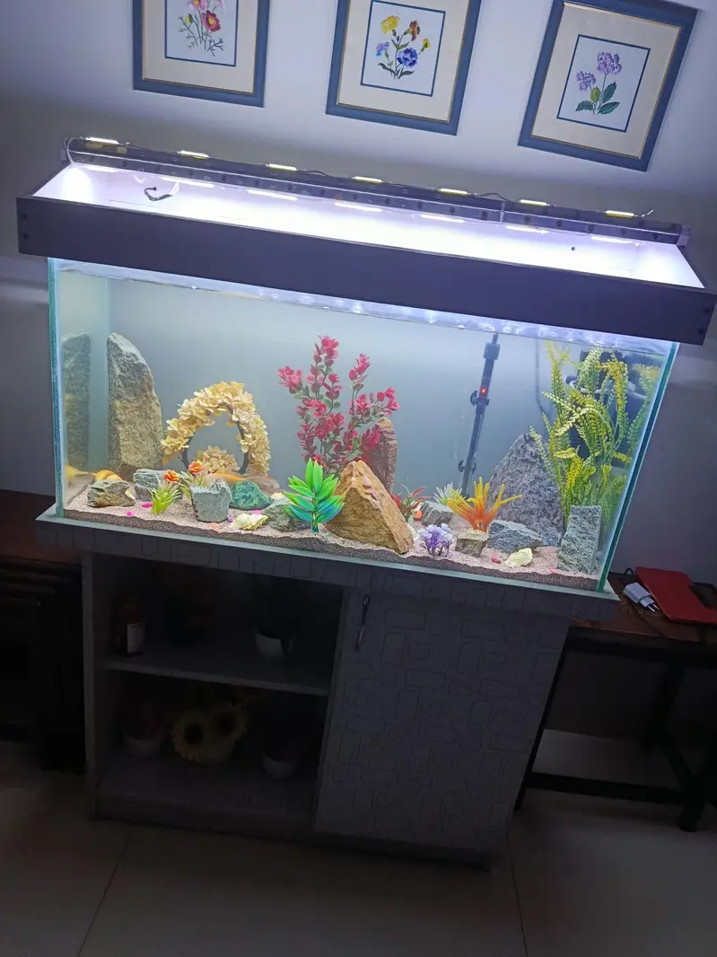 Fish Aquarium for Sale – Complete Setup