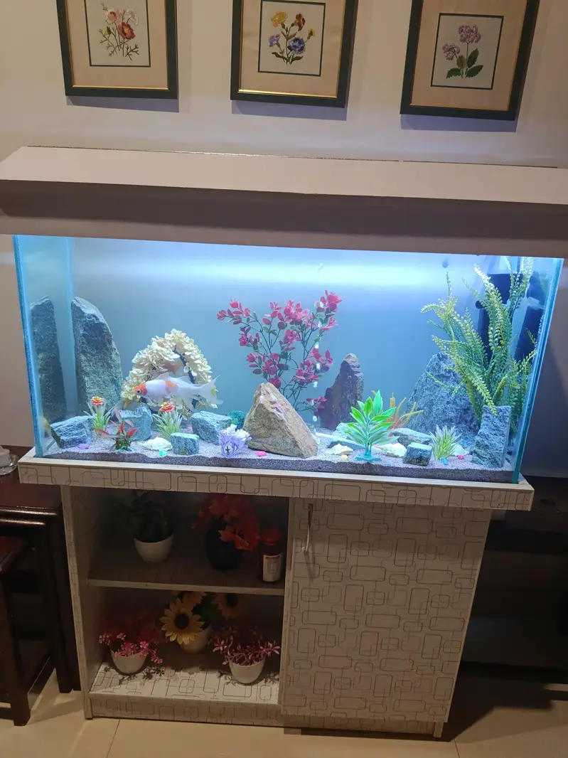 Fish Aquarium for Sale – Complete Setup — photo 2