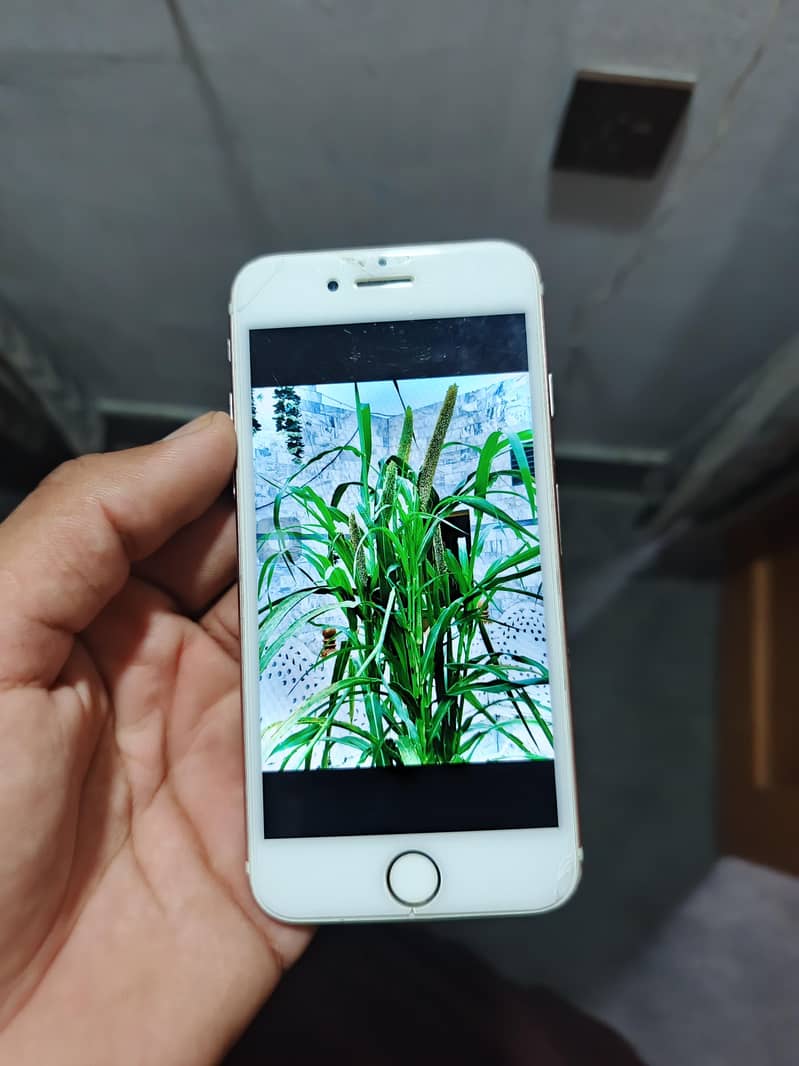 Apple iPhone 7 6