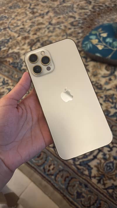Apple iPhone 12 Pro Max