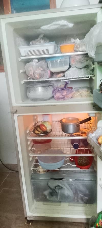 refrigerator