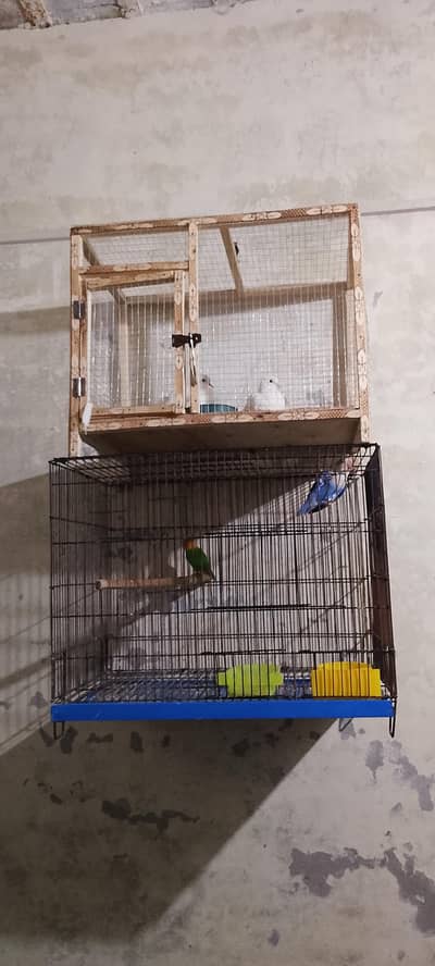 New cages