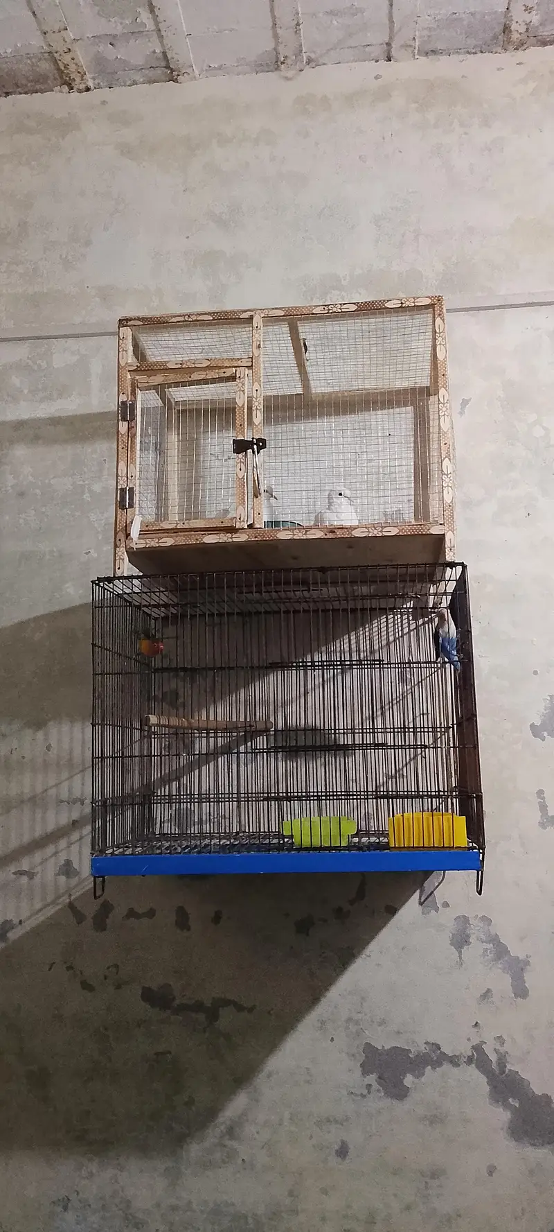 New cages — photo 3