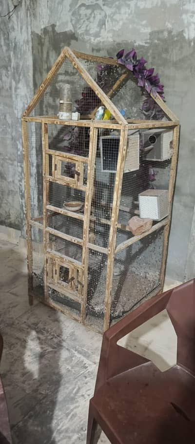 3 budgies with cage