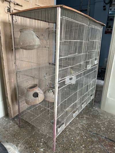 Big cage and with 3 Australian perrot