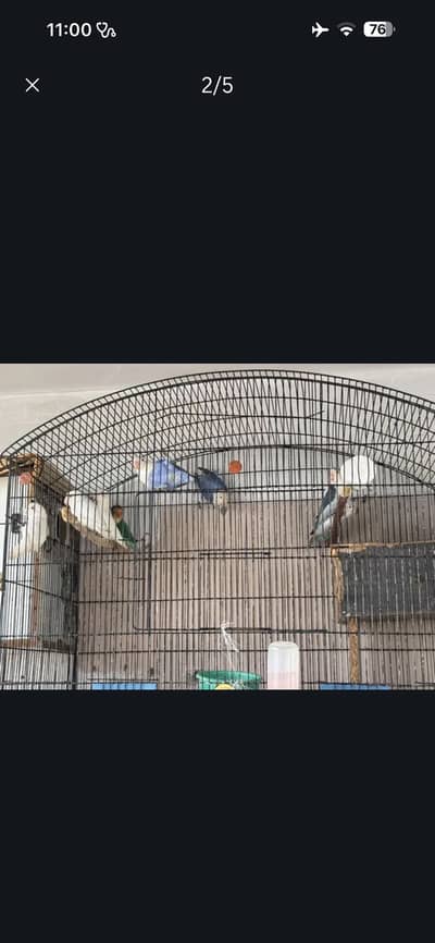 Breeder setup available