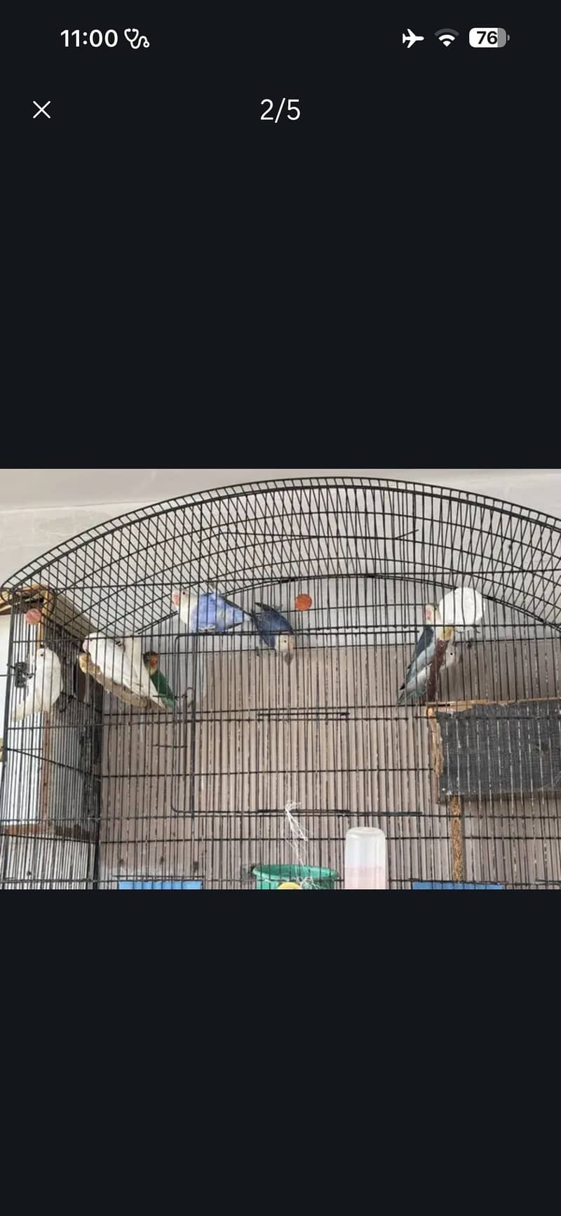 Breeder setup available 0