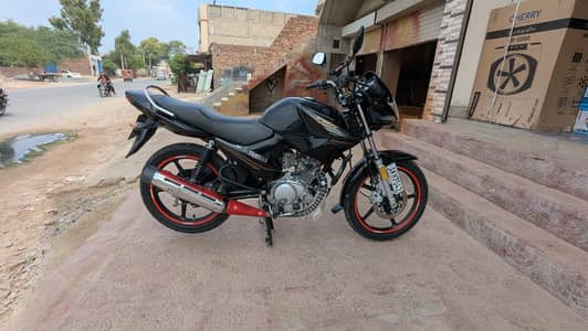 WhatsApp number 03357139501