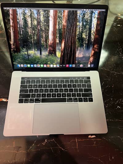 Apple MacBook Pro 15-inch 2018 (Core i9 / 32GB RAM / 500GB NVME