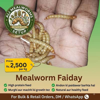 mealworms|birds food | parrot, hen's, fish food | love birds food