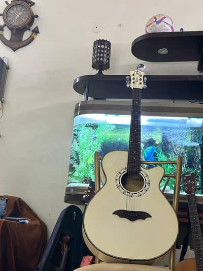 Semi-acoustic guitar