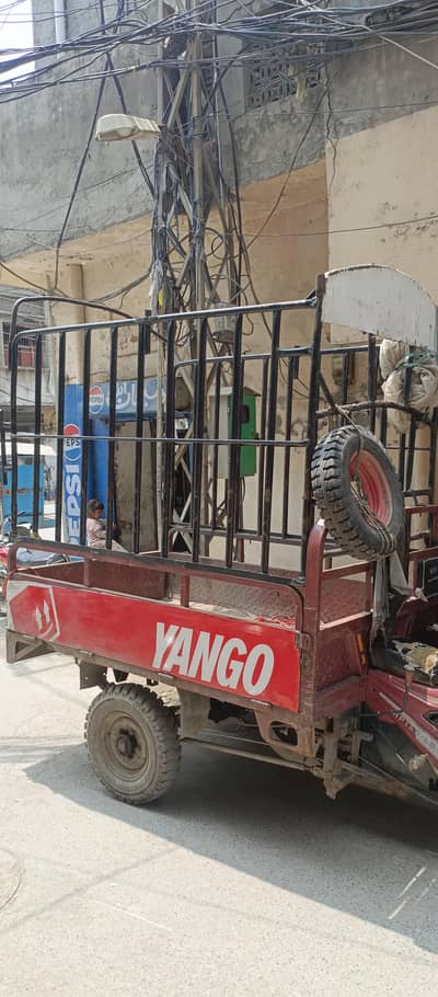 only Jangra sale