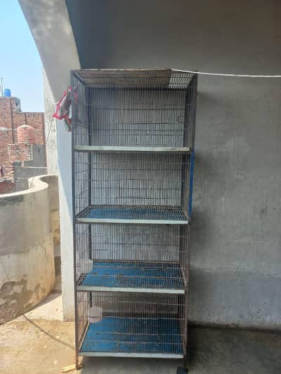 Birds Pinjra-  پنجرہ