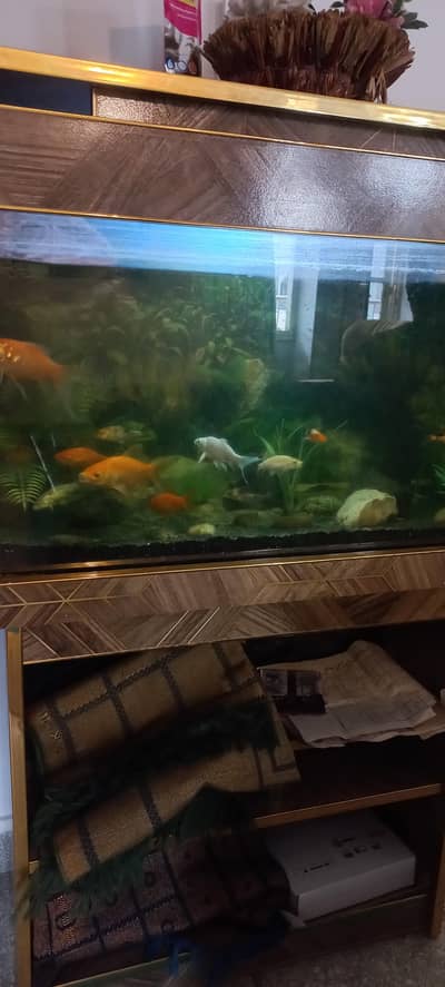 aquarium for sale