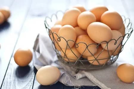 amroha bloodline eggs for sale