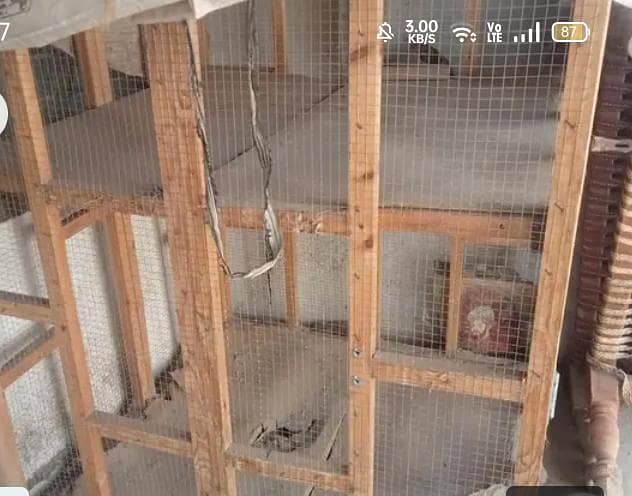 big cage 0