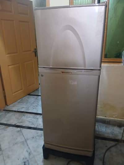 Frigh for sale