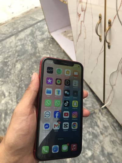 iPhone XR