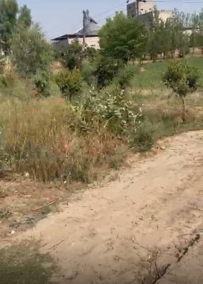 52 kanal Land for sale