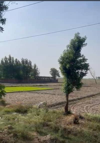 390 feet Main Road Front Plot For Sale